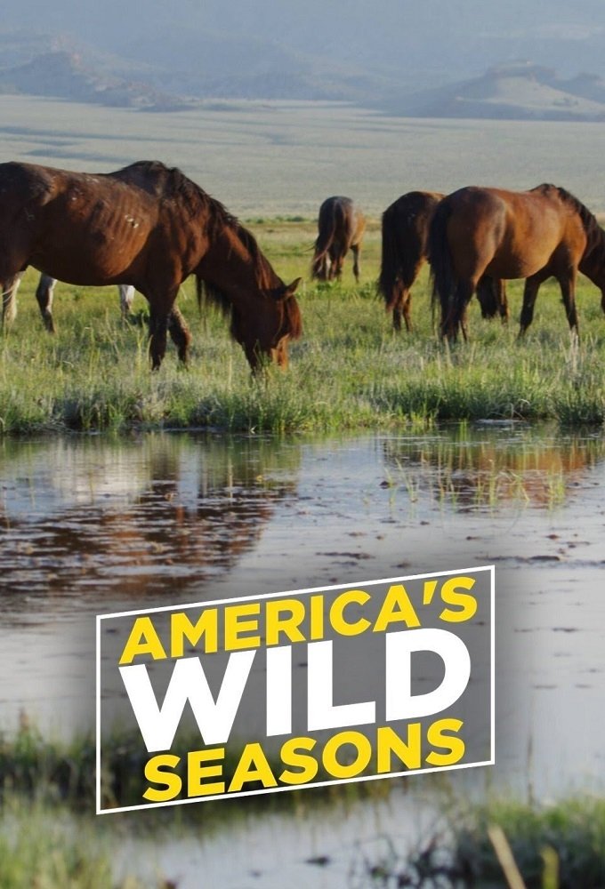 America's Wild Seasons - Season 1
