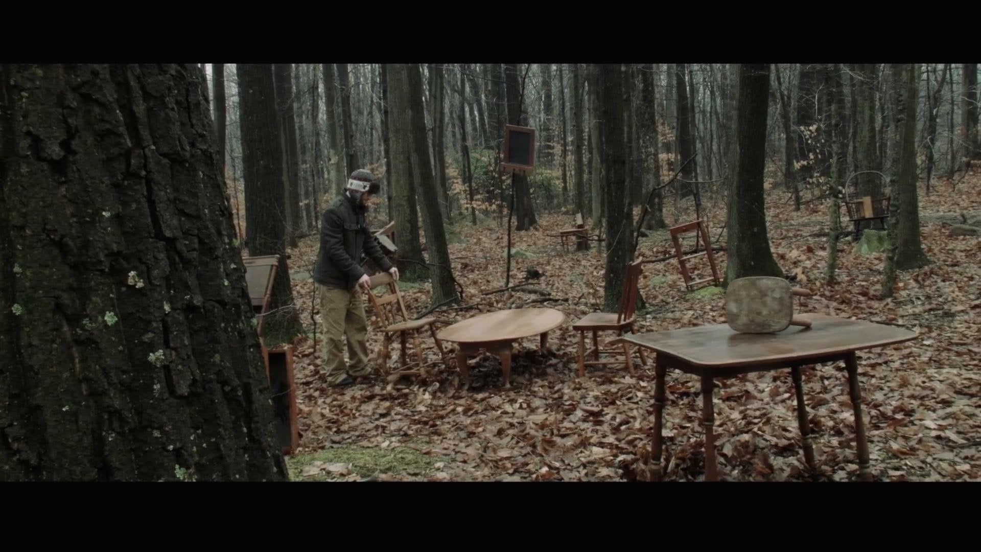 Pine Tree (2014)