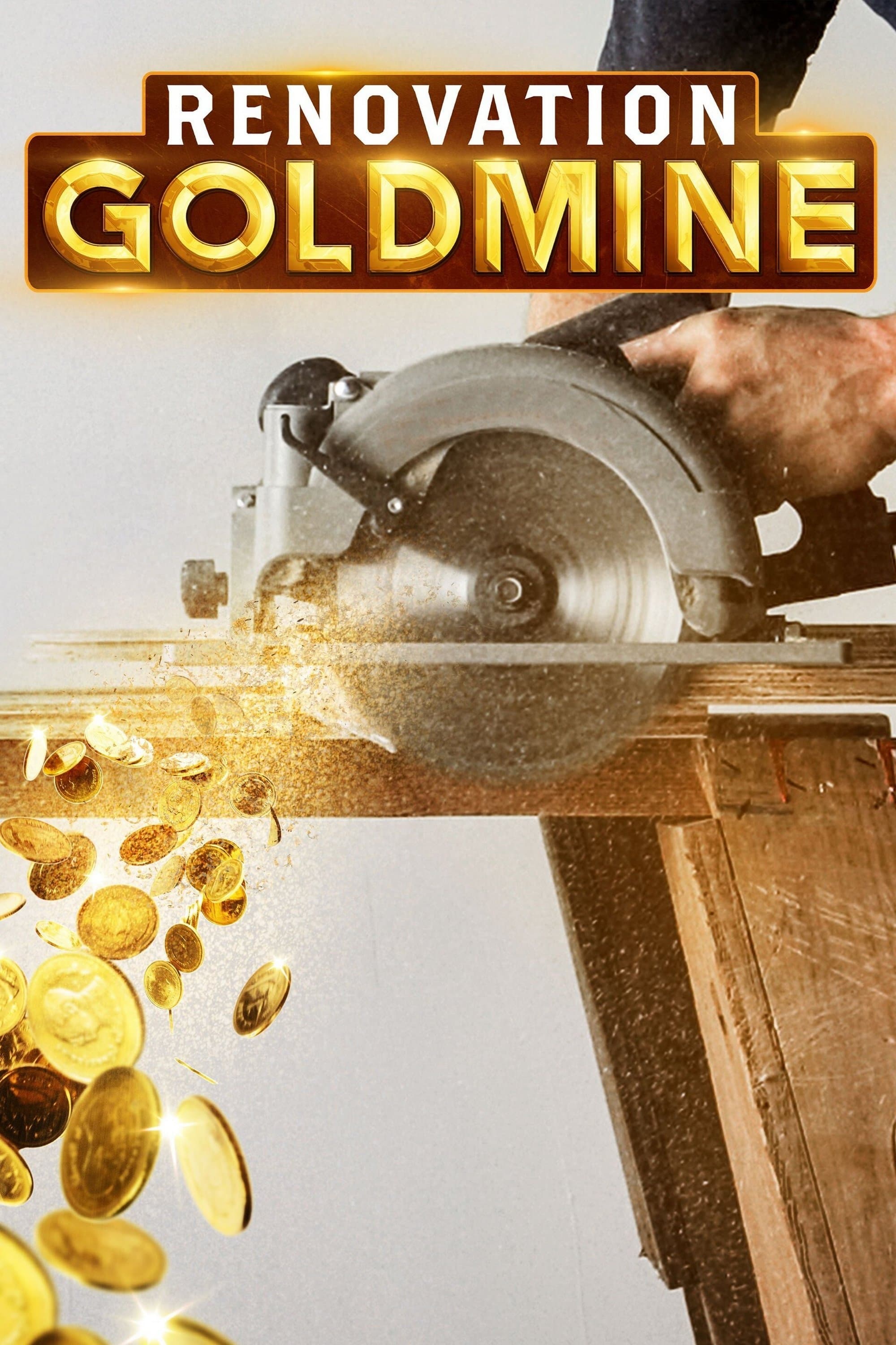 Renovation Goldmine TV Shows About Home