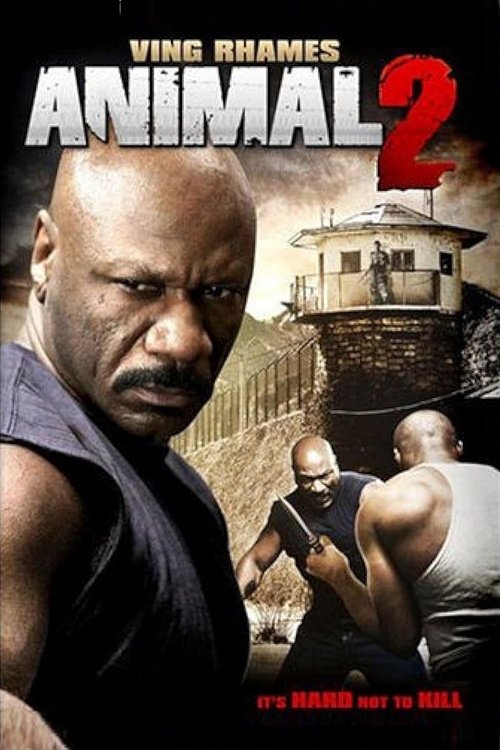 Animal 2