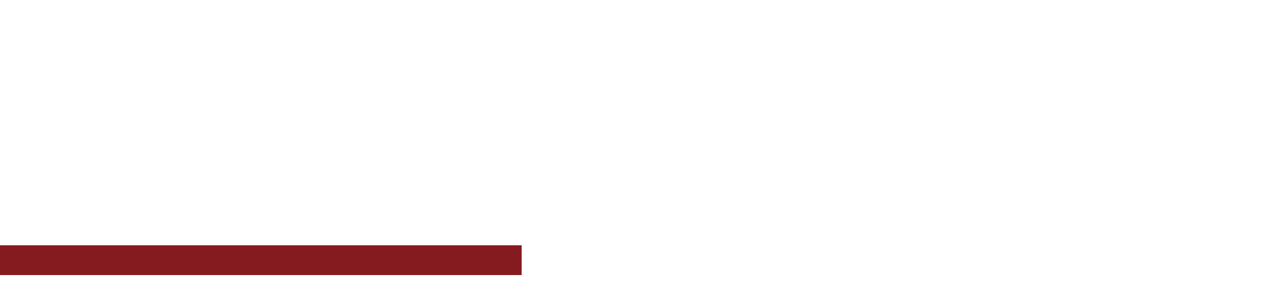 Grey's Anatomy Logo