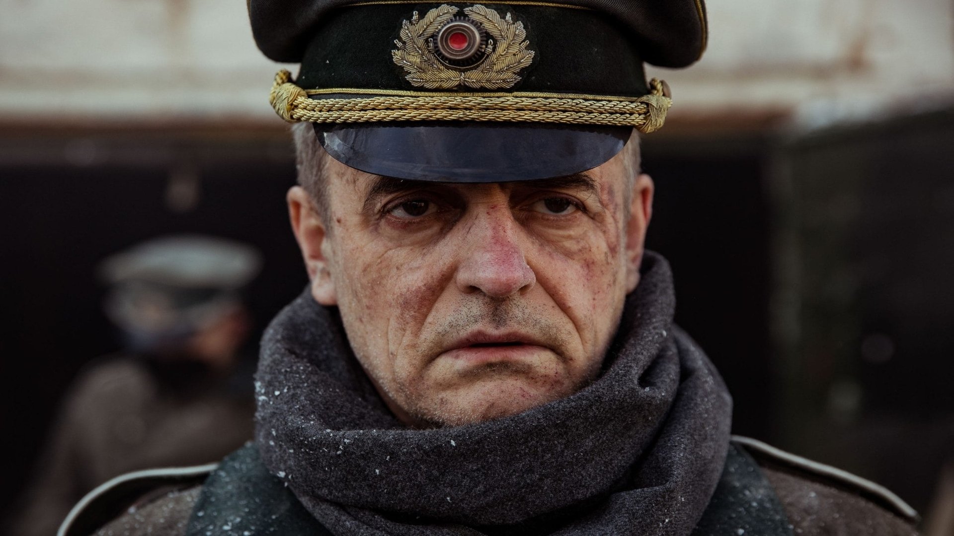 Rise of the Nazis