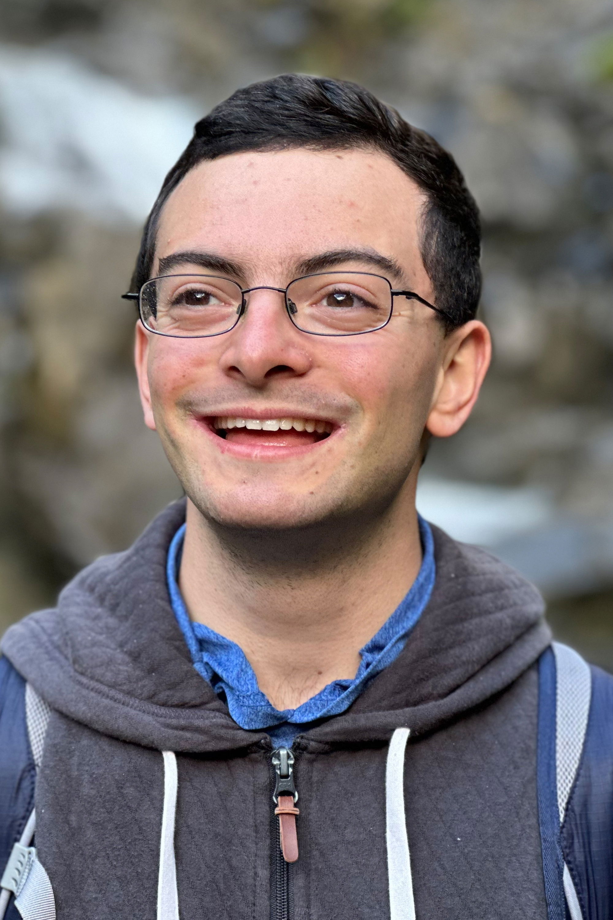 et billede af David Shapiro