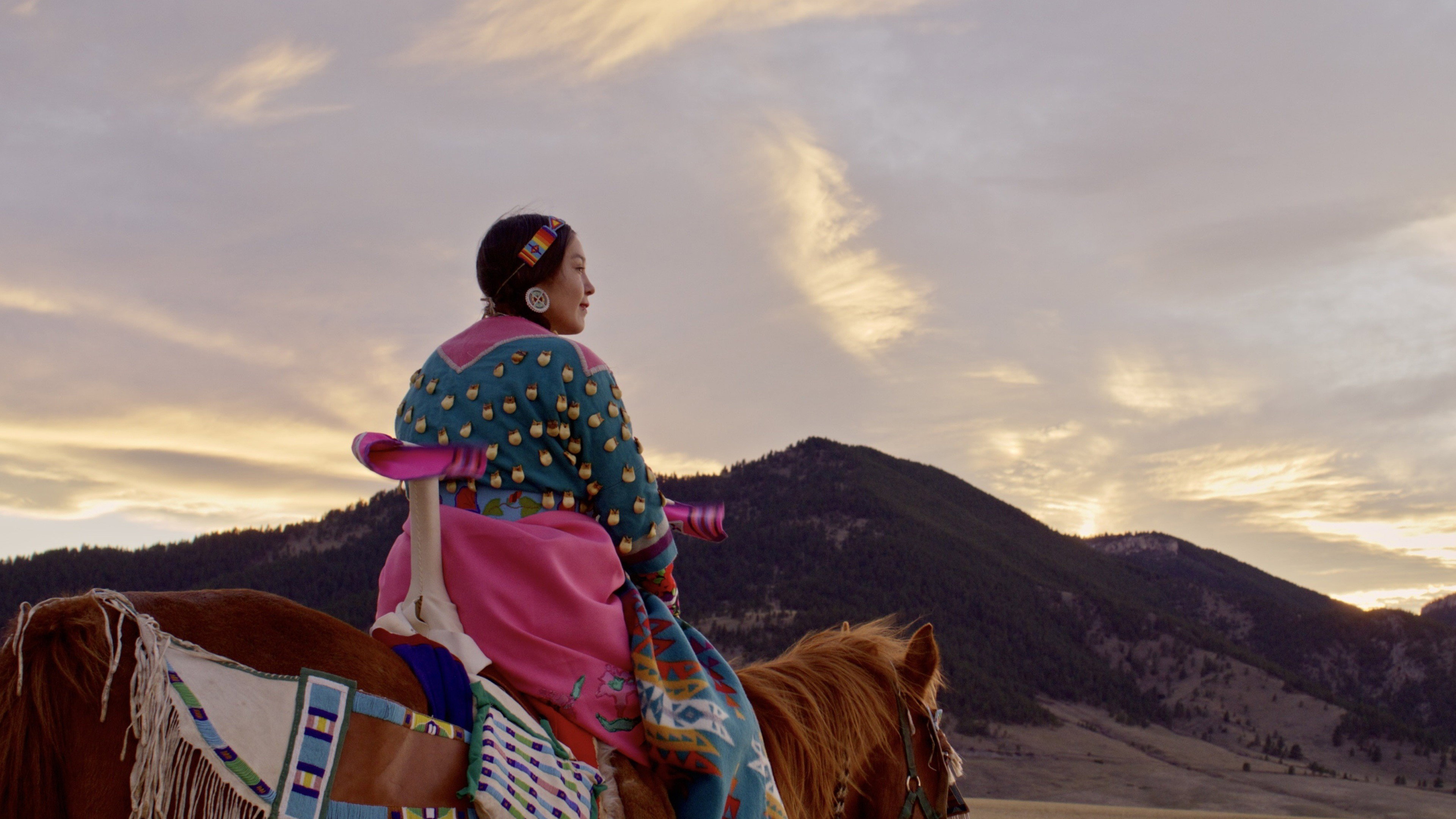 In the Company of Wolves: An American Journey