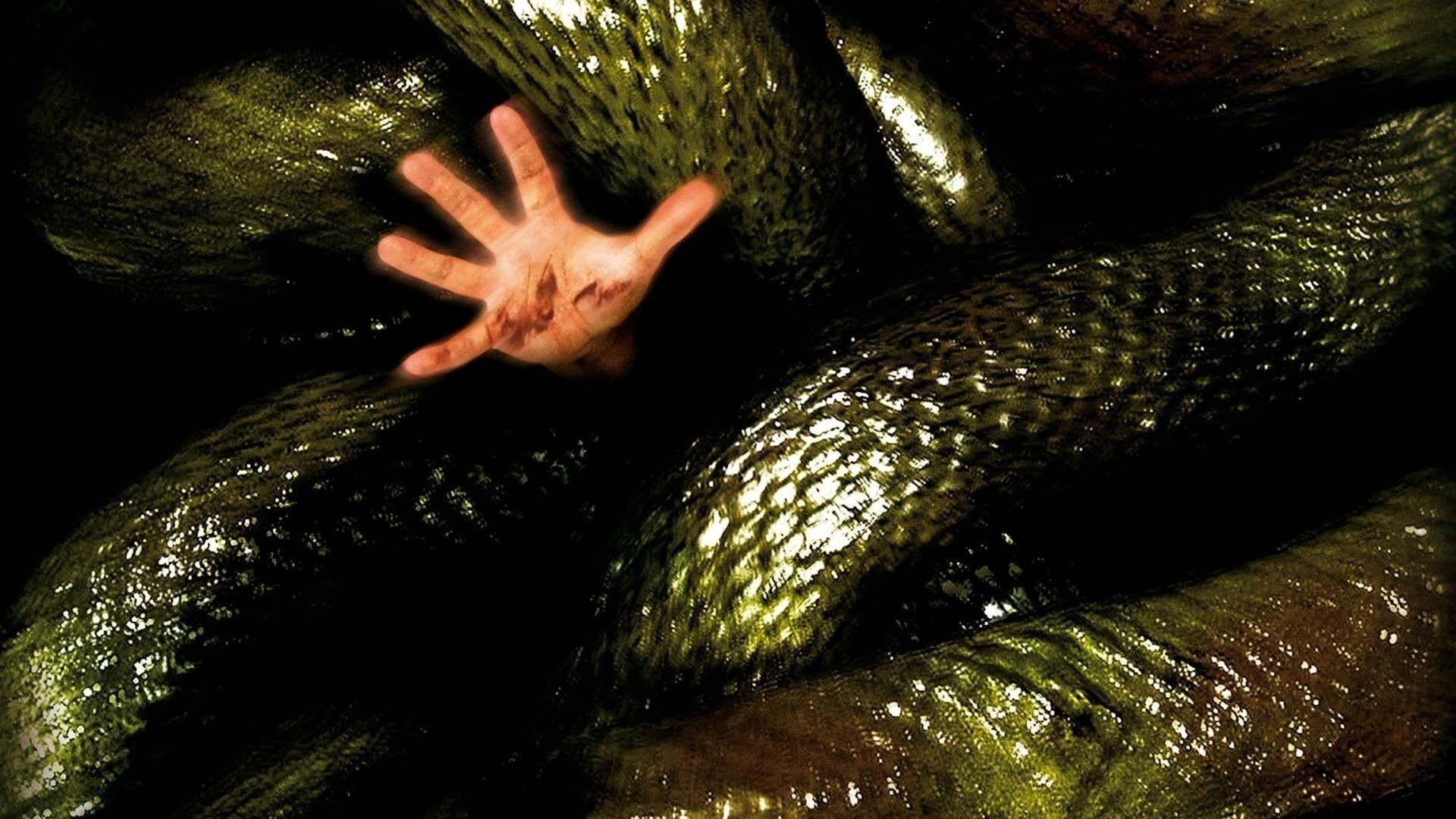 Anacondas: The Hunt for the Blood Orchid (2004)