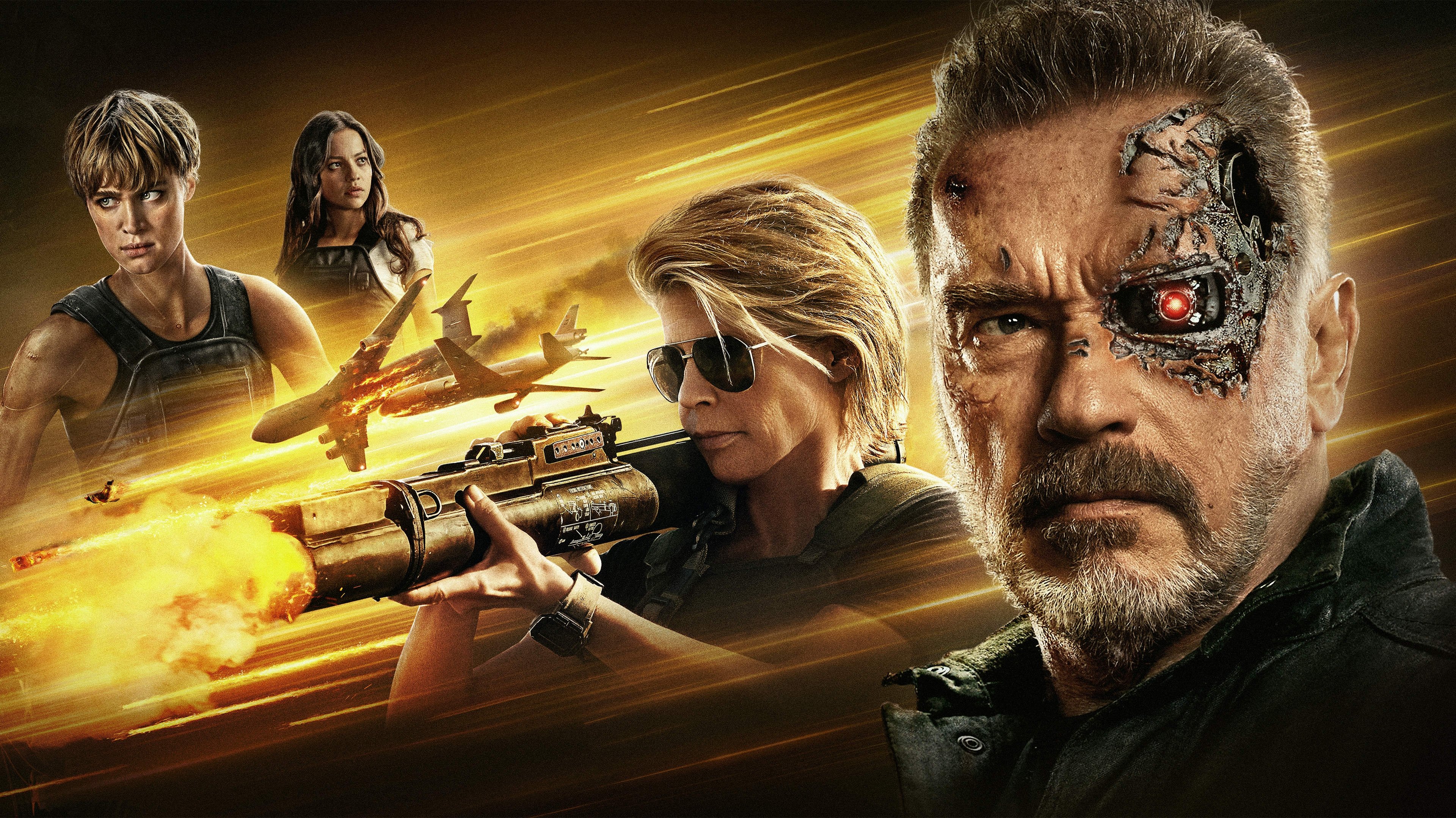 Ver Terminator 6 Destino Oculto Online Latino » PelisPlus