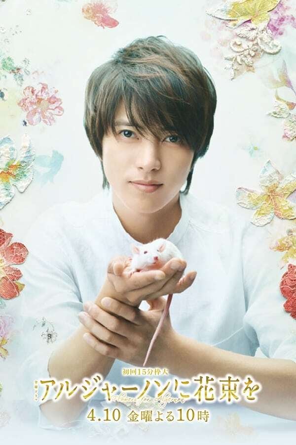 Flowers for Algernon - Season 1