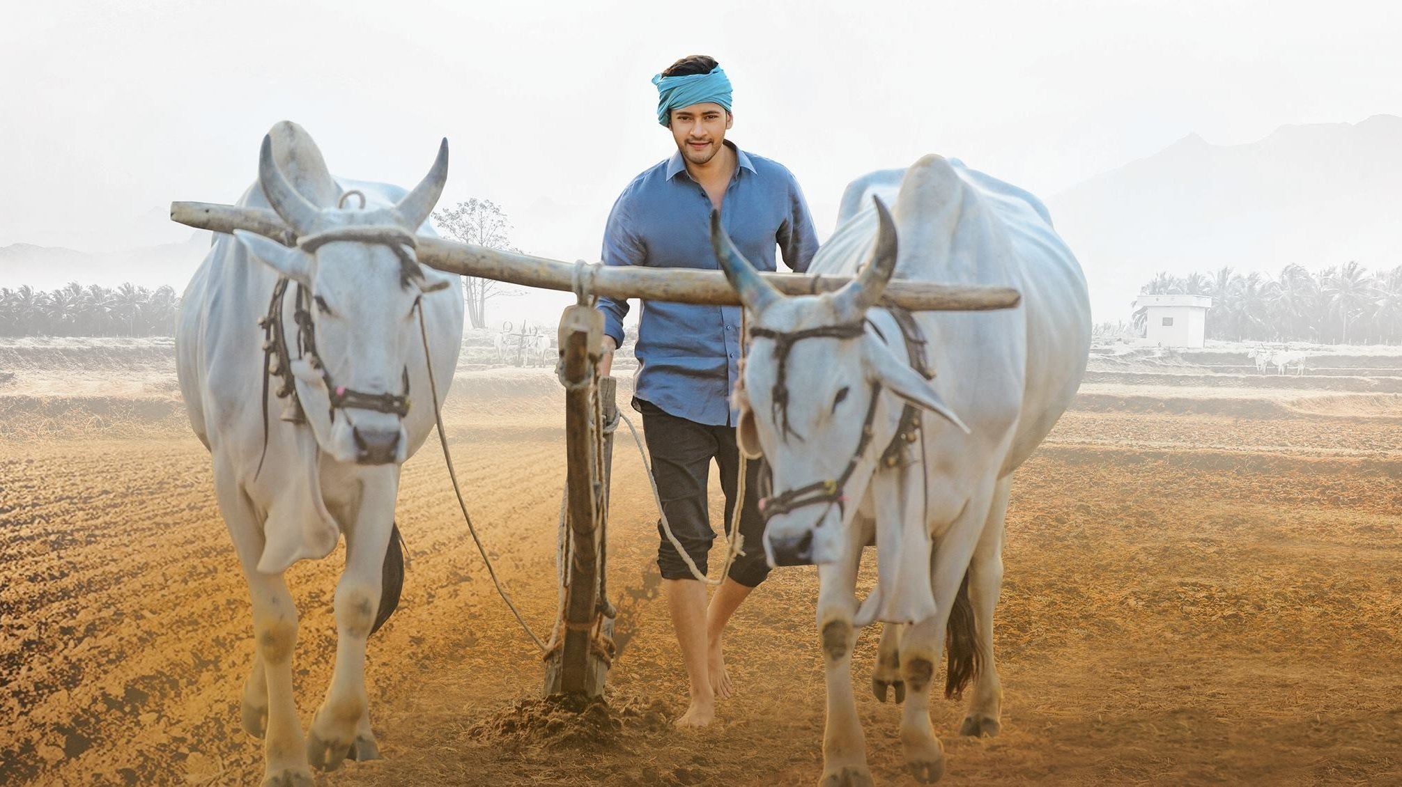 Maharshi