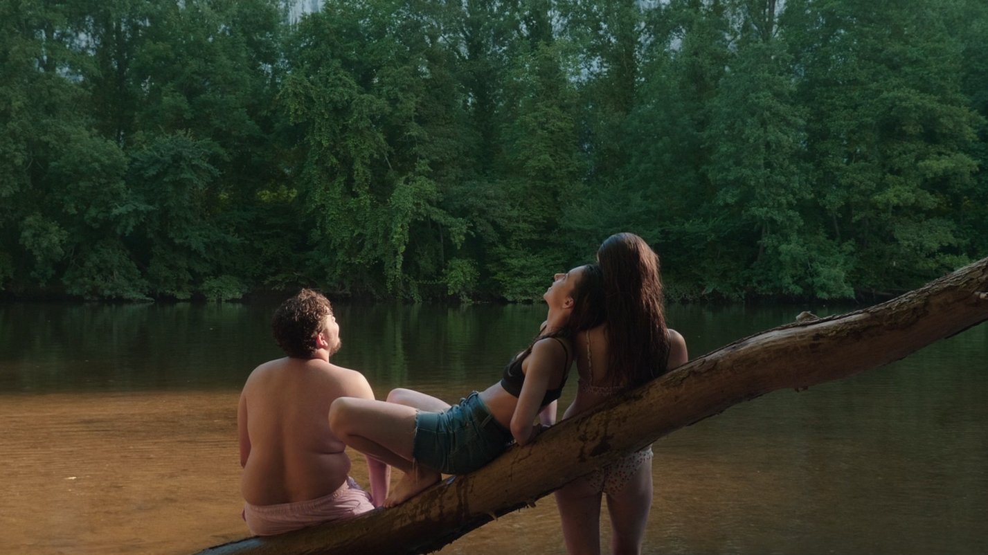 Landscape with Linen