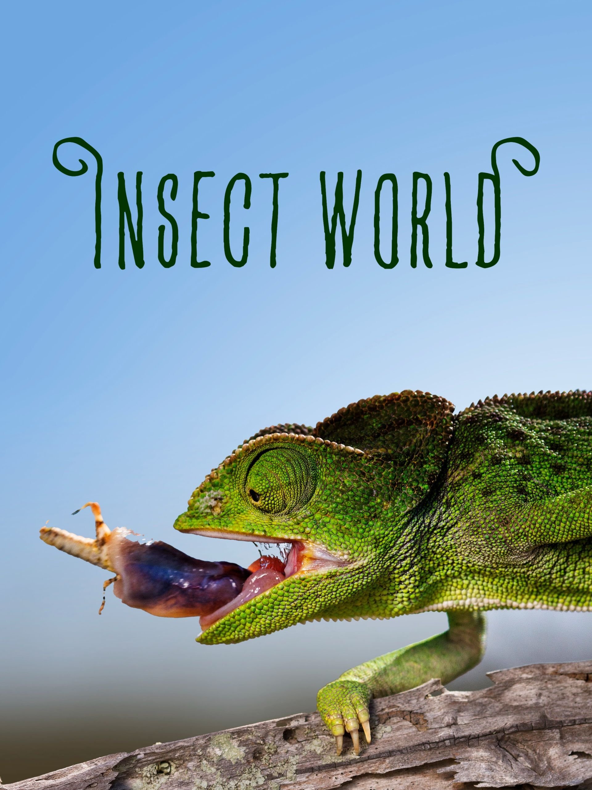 Insect World