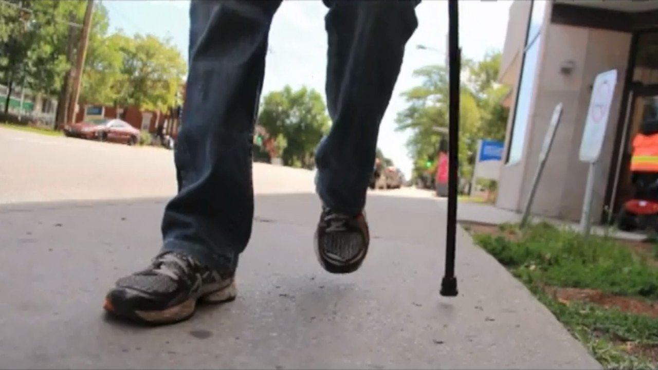 Why Do We Fall? (2012)