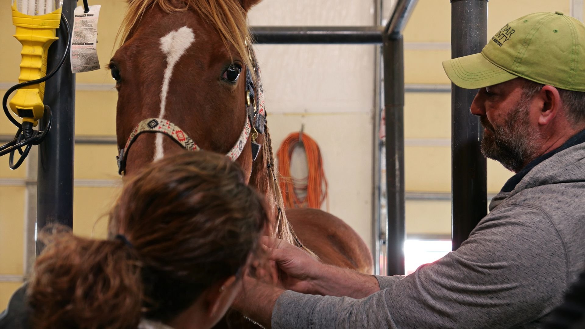 Heartland Docs, DVM