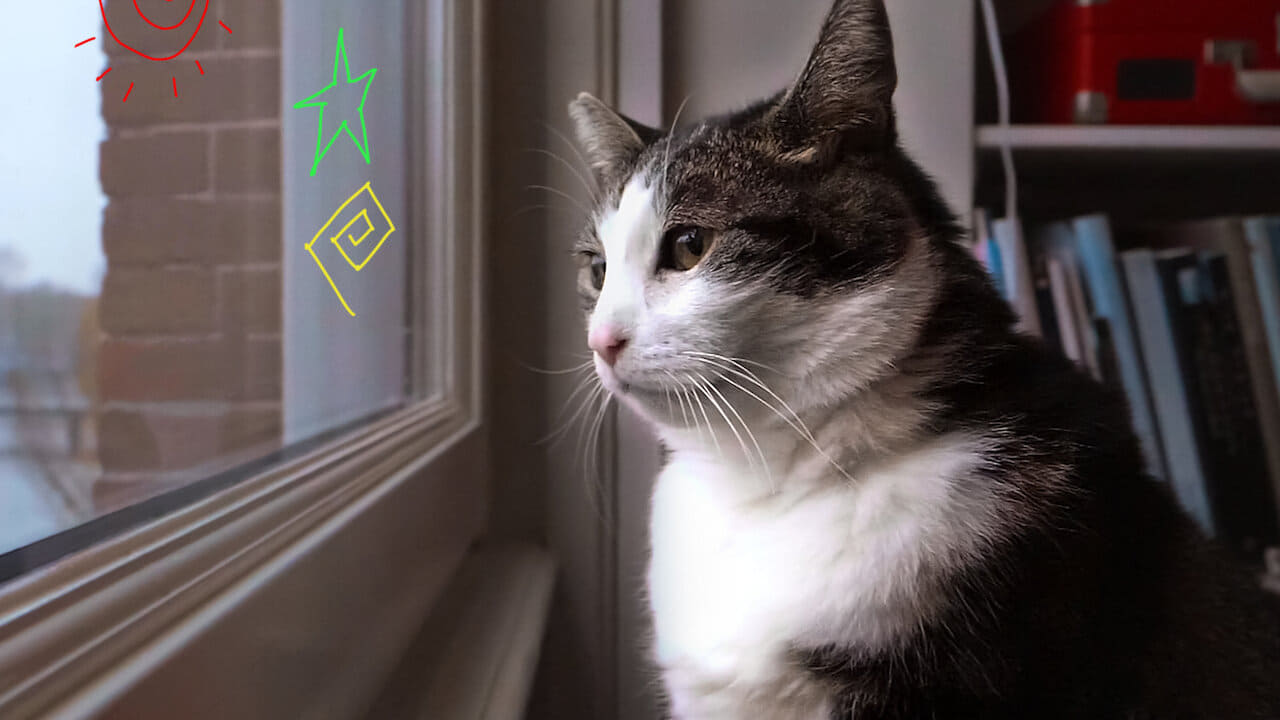 Amor Felino: Um Tributo aos Gatos (2020)