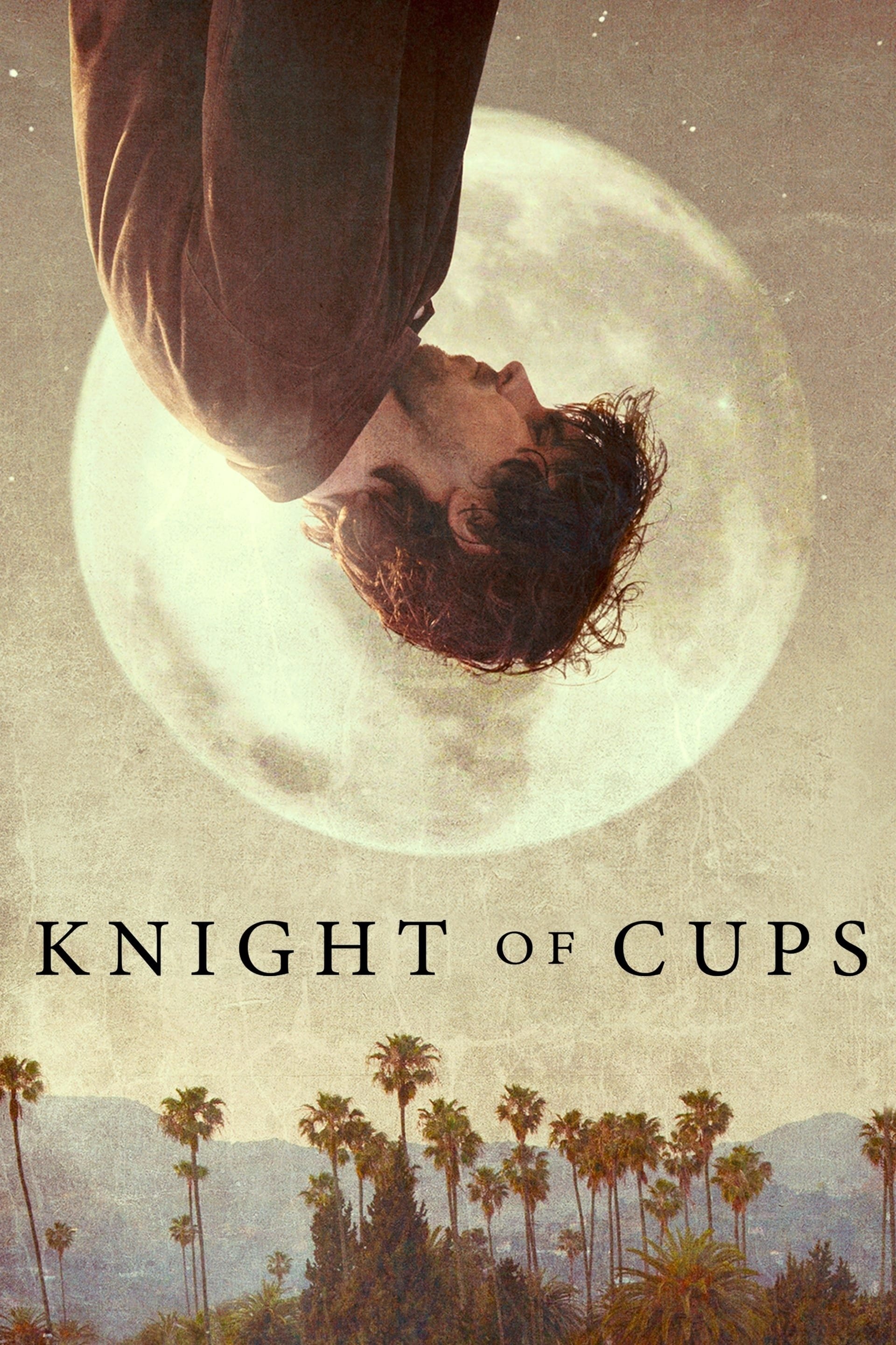 Knight of Cups
