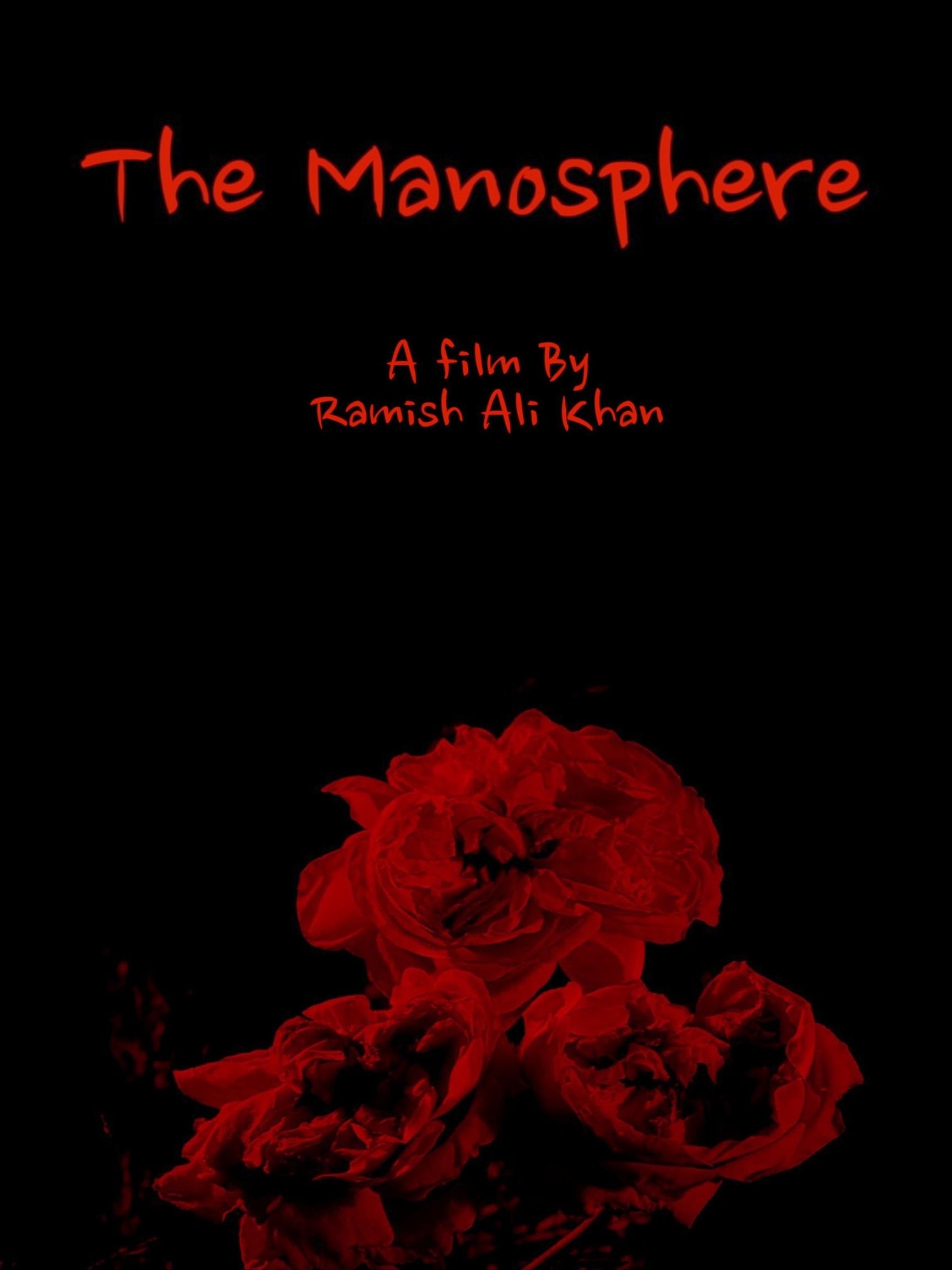 The Manosphere - Posters โ The Movie Database (TMDB)