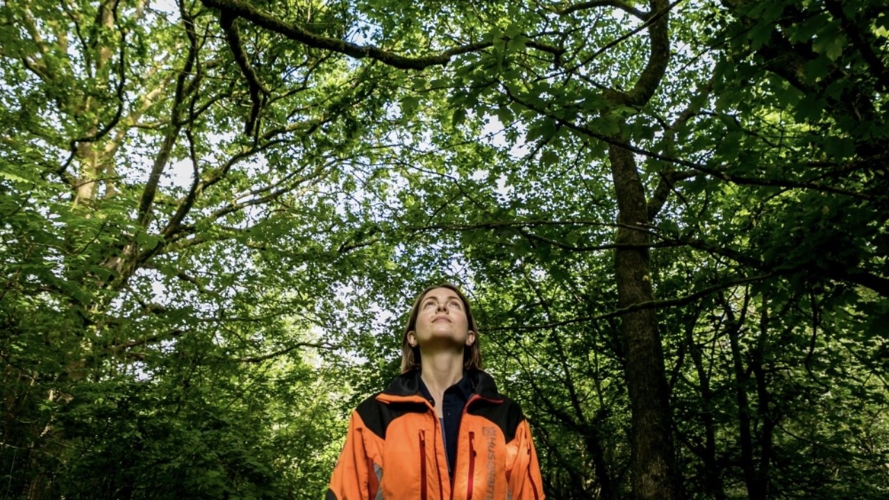 The Arborist (2020)