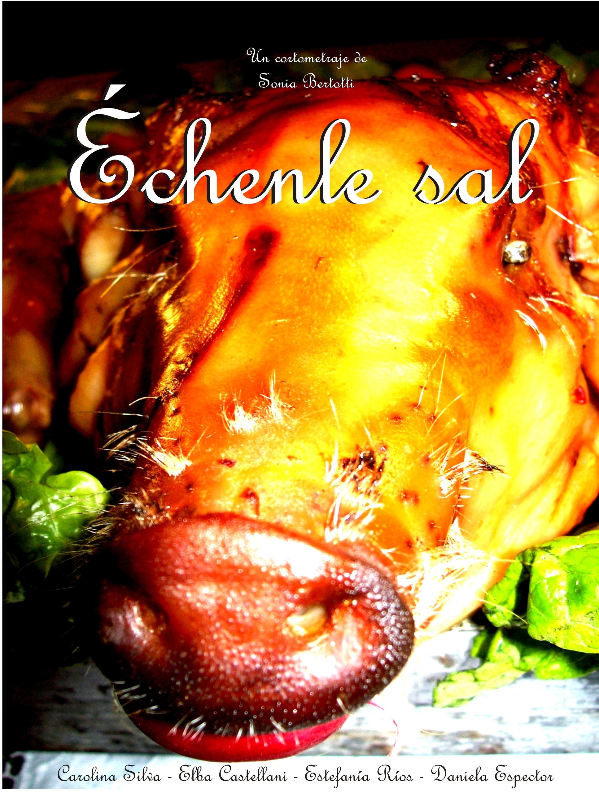 Échenle Sal Poster