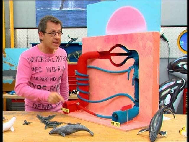 C'est pas sorcier 0x16