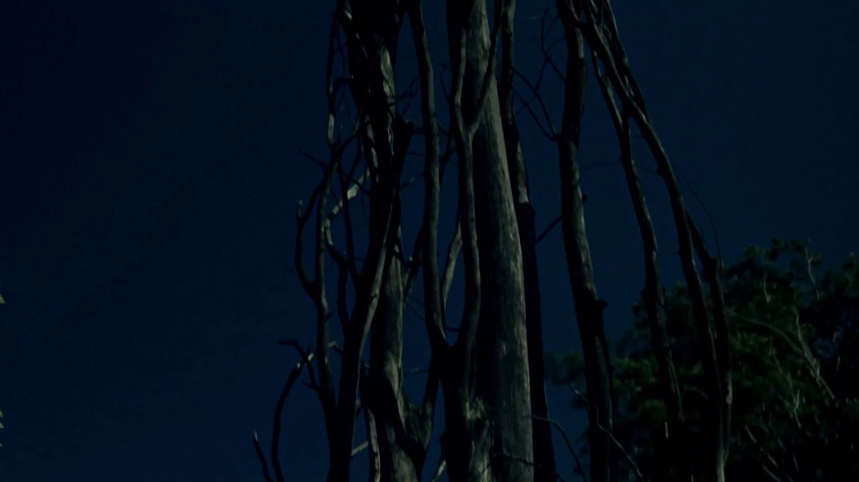 The Demise of Father Mouret