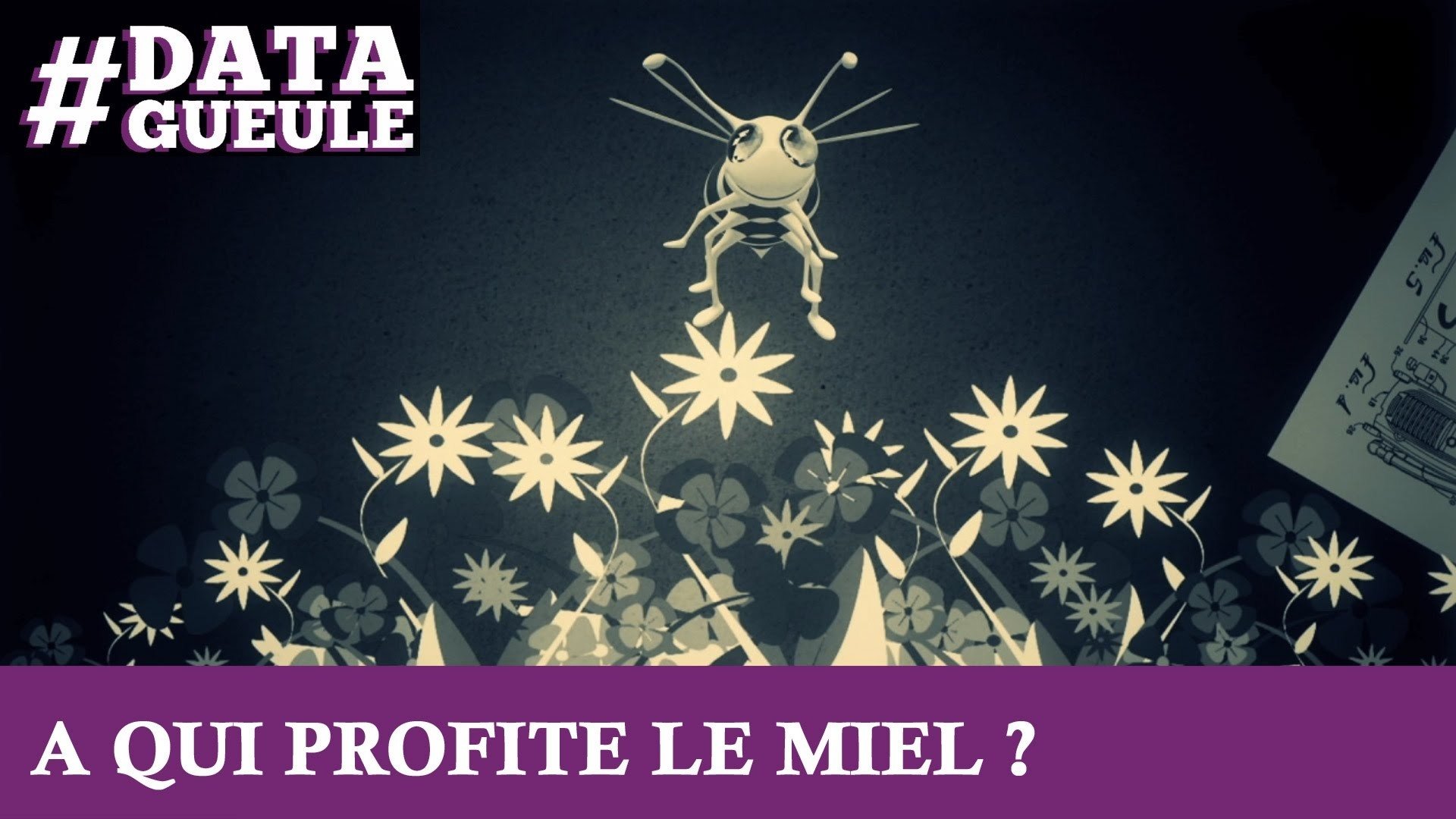Data Gueule - À qui profite le miel ?