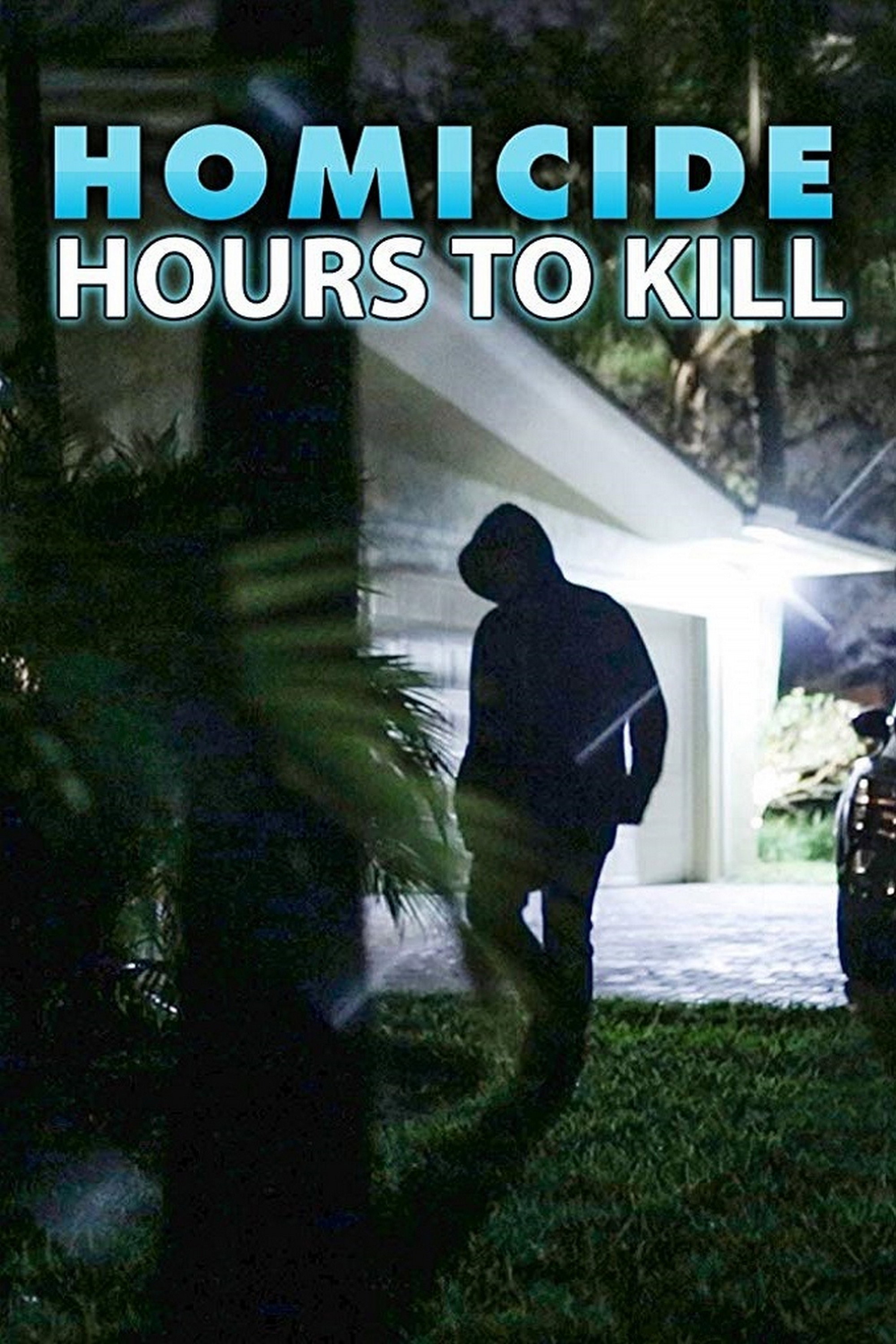 Homicide: Hours to Kill - Season 2