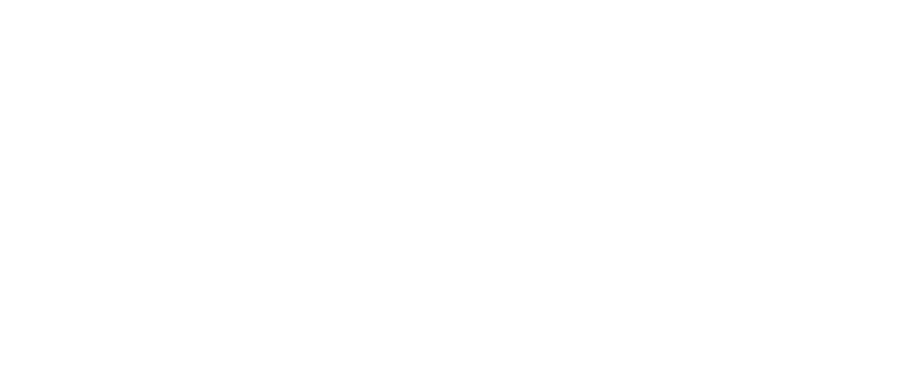 The Sky Is Pink Logo