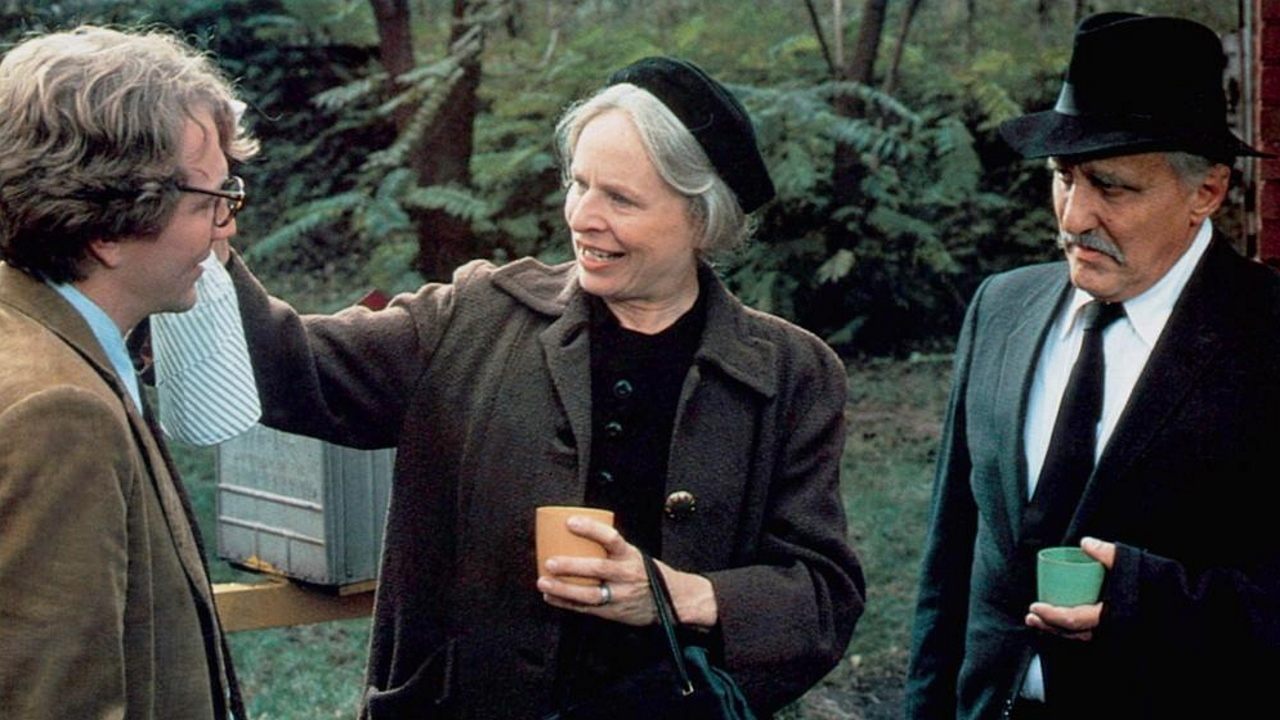 Four Friends (1981)