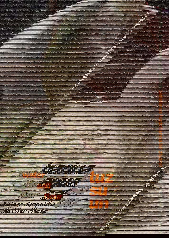Movie Title