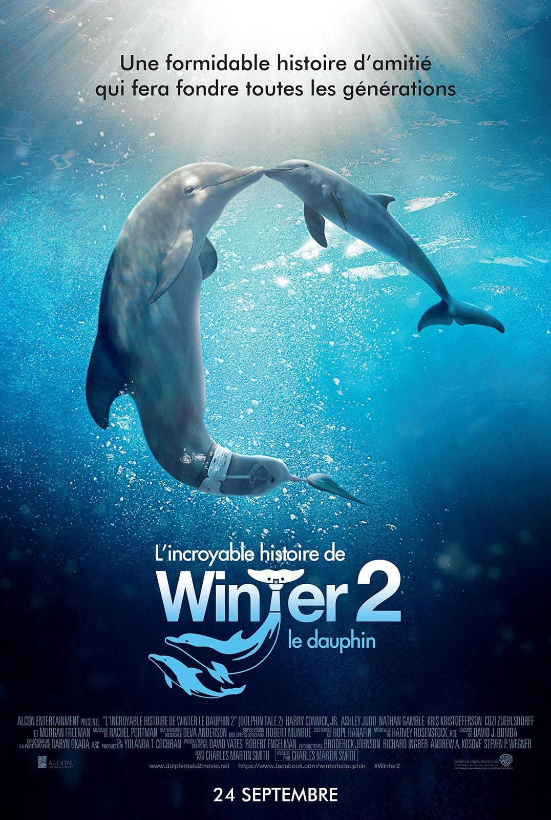 Affiche du film L'Incroyable Histoire de Winter le dauphin 2 140367