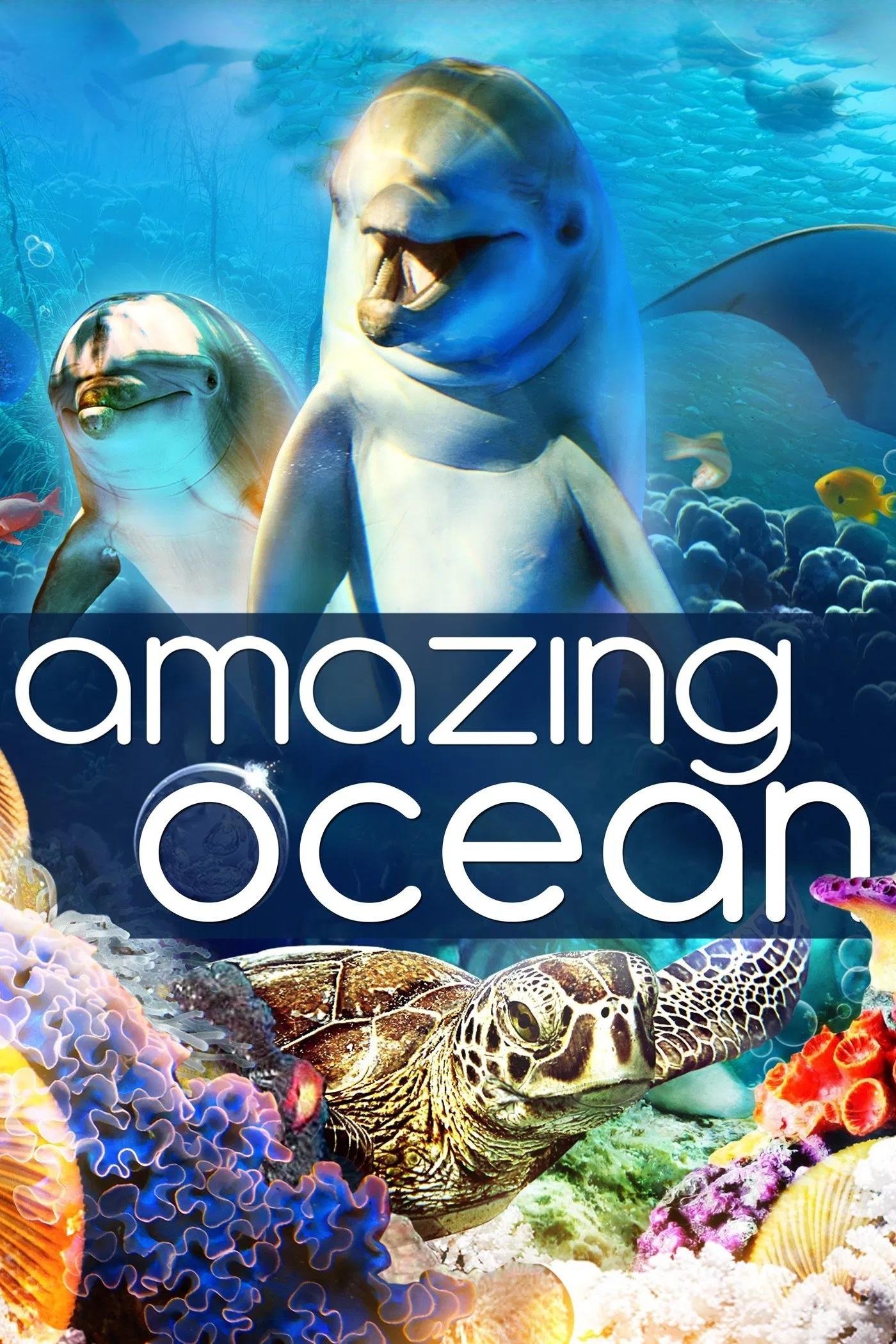 Amazing Ocean 3D