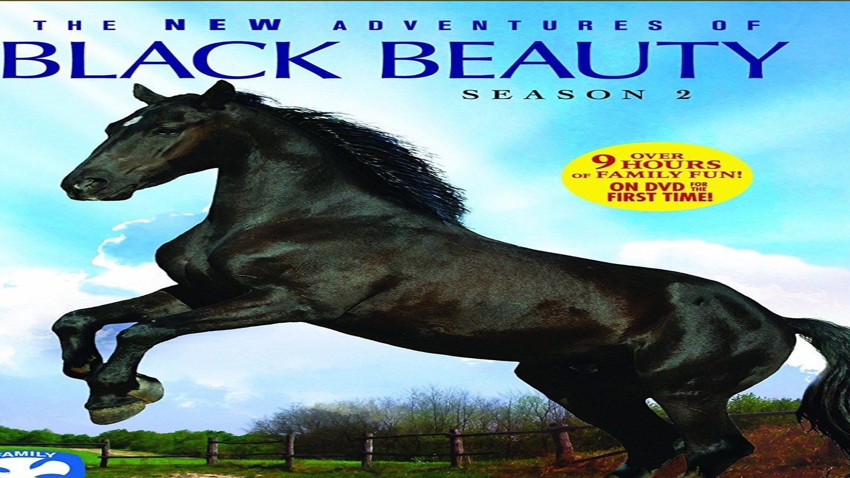 The New Adventures of Black Beauty