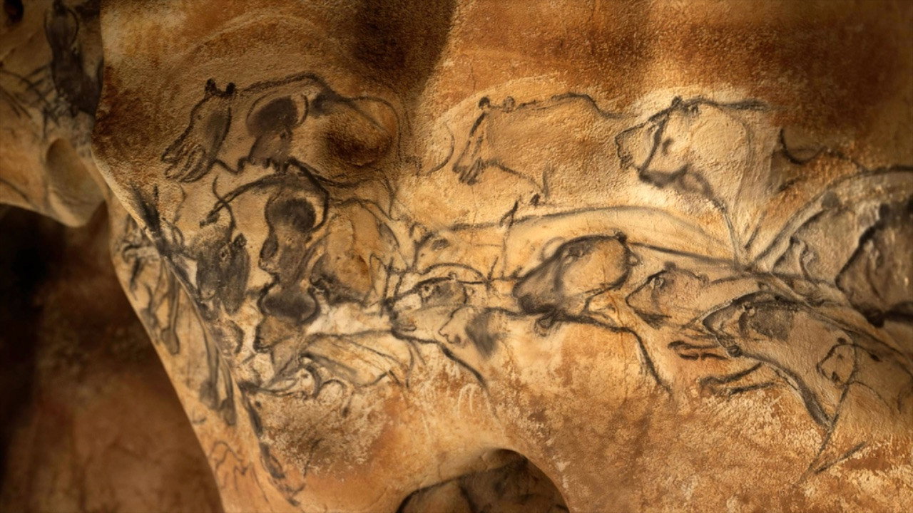 Grotte Chauvet - Dans les pas des artistes de la Préhistoire
