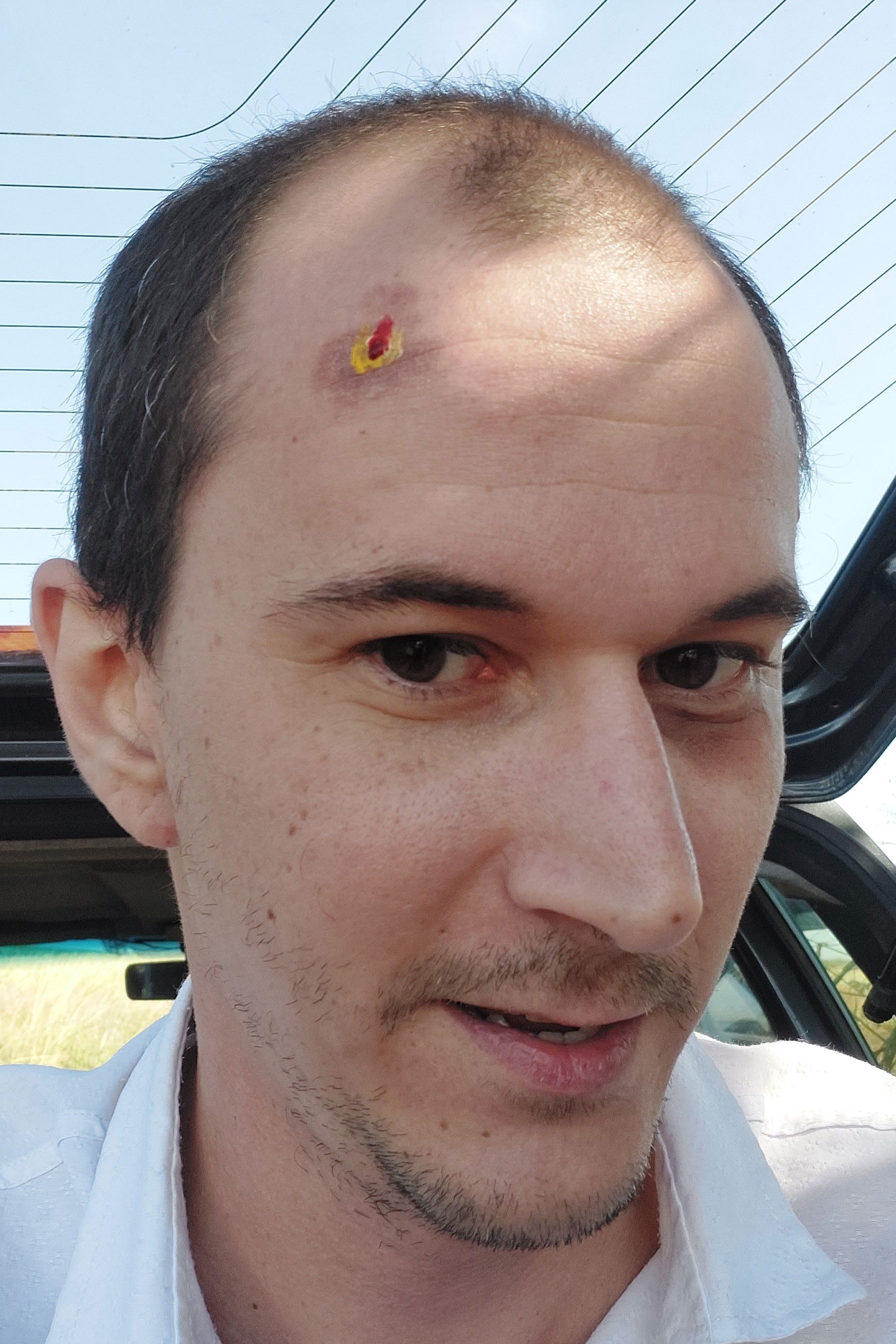 et billede af Braun Ridre Chulaq