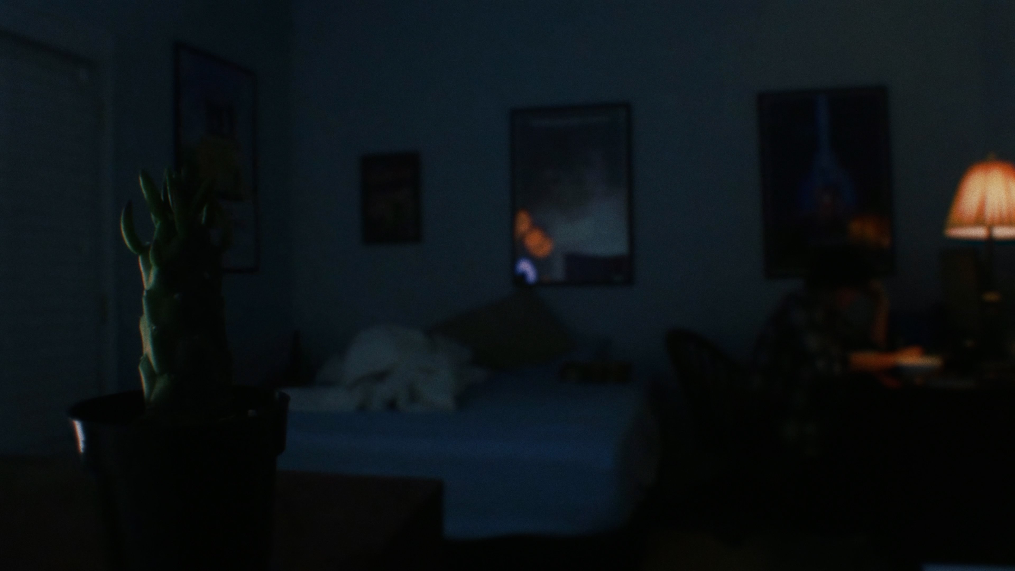 The Cactus (2023)