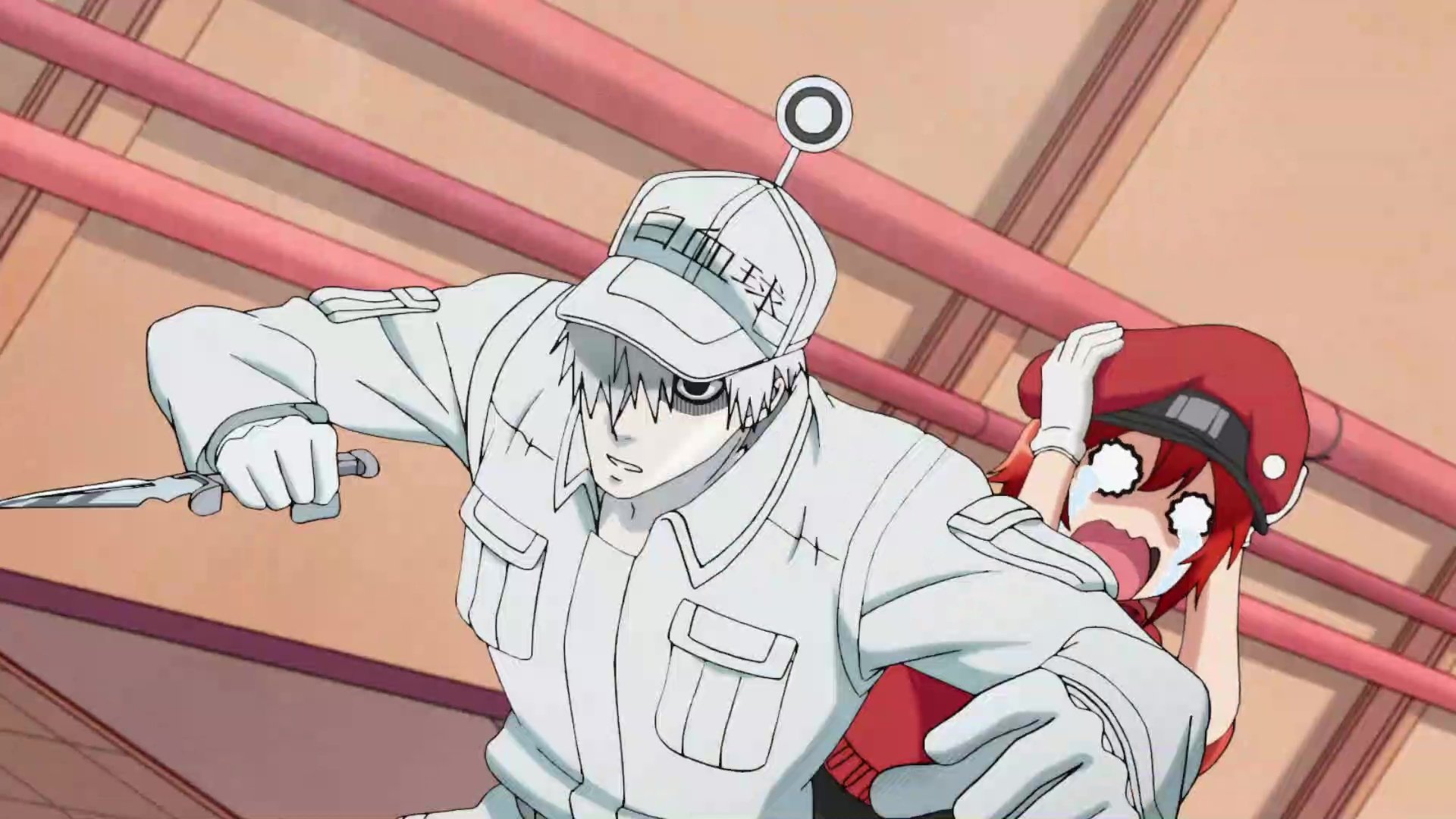 Assistir Hataraku Saibou - Episódio 01 Online - Download & Assistir Online! - AnimesTC