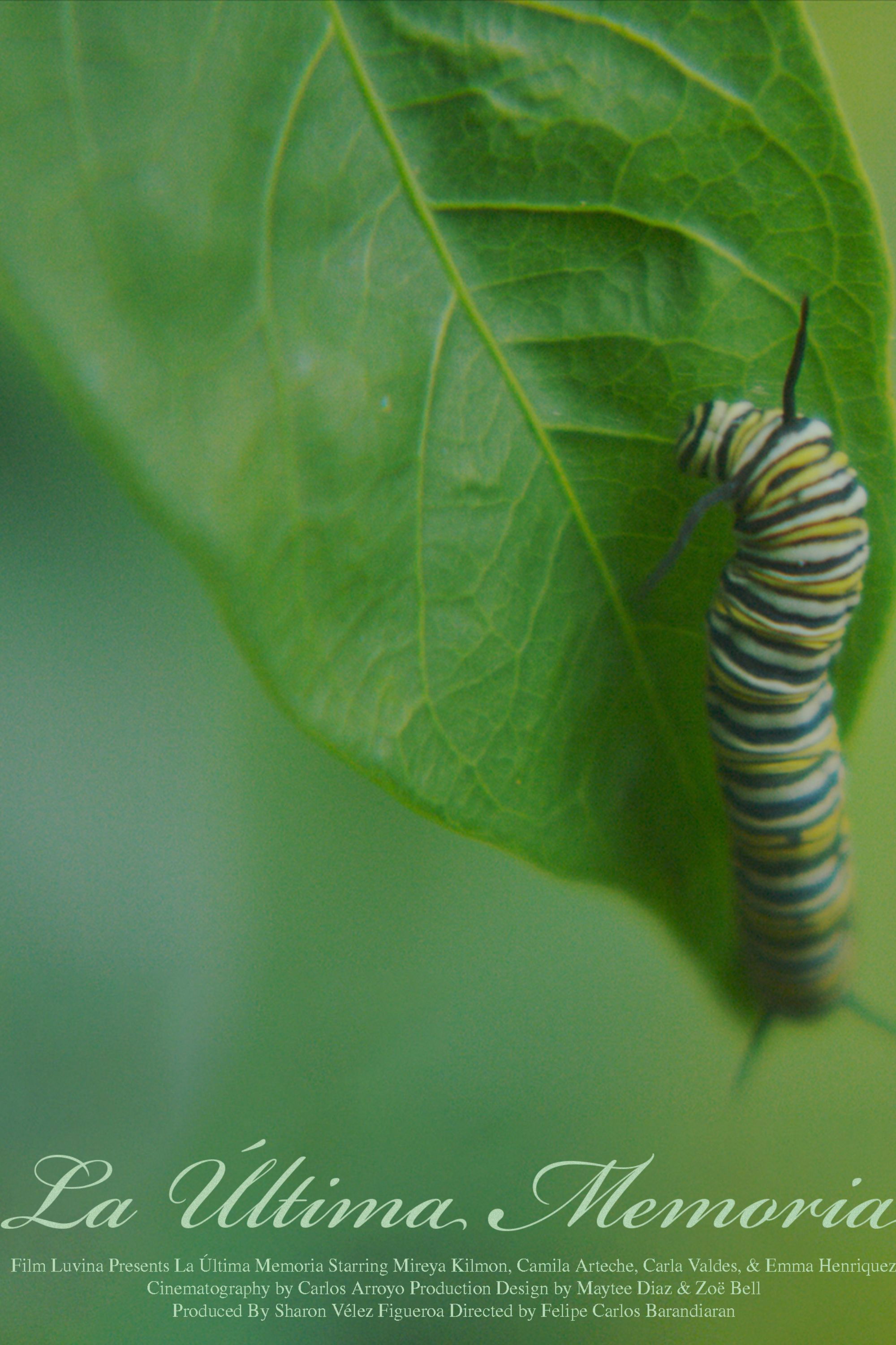 La &Uacute;ltima Memoria