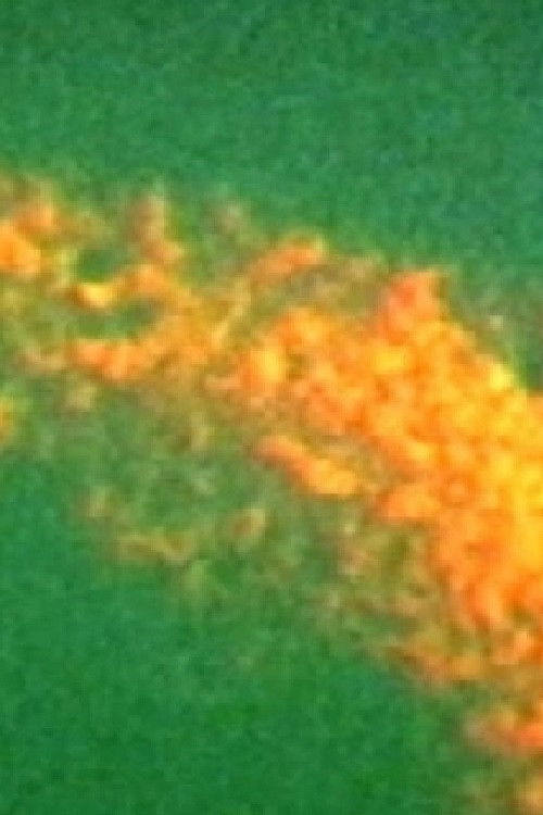 Poster for Kariokinesis