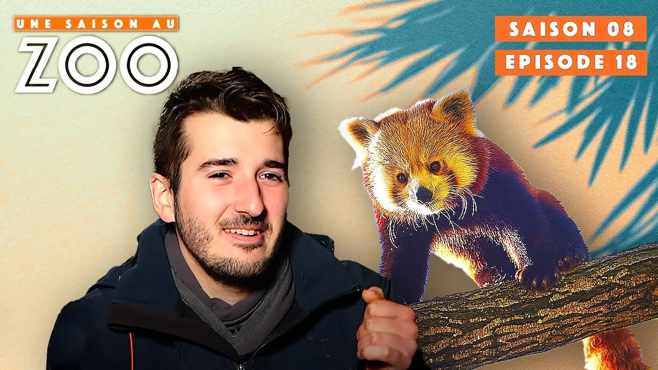 Une saison au zoo