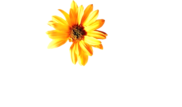 Hope Springs Logo