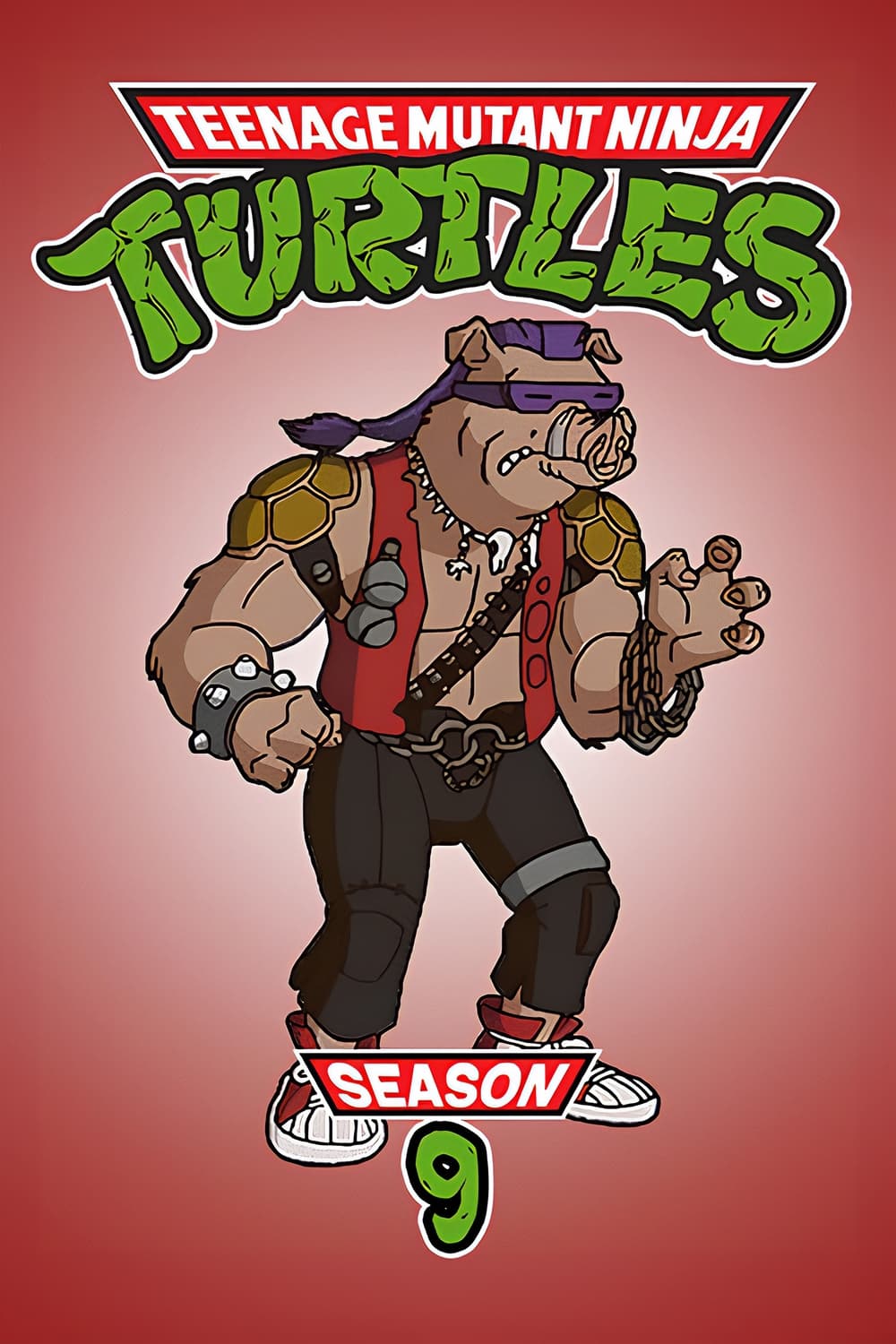 Teenage Mutant Ninja Turtles - Season 9