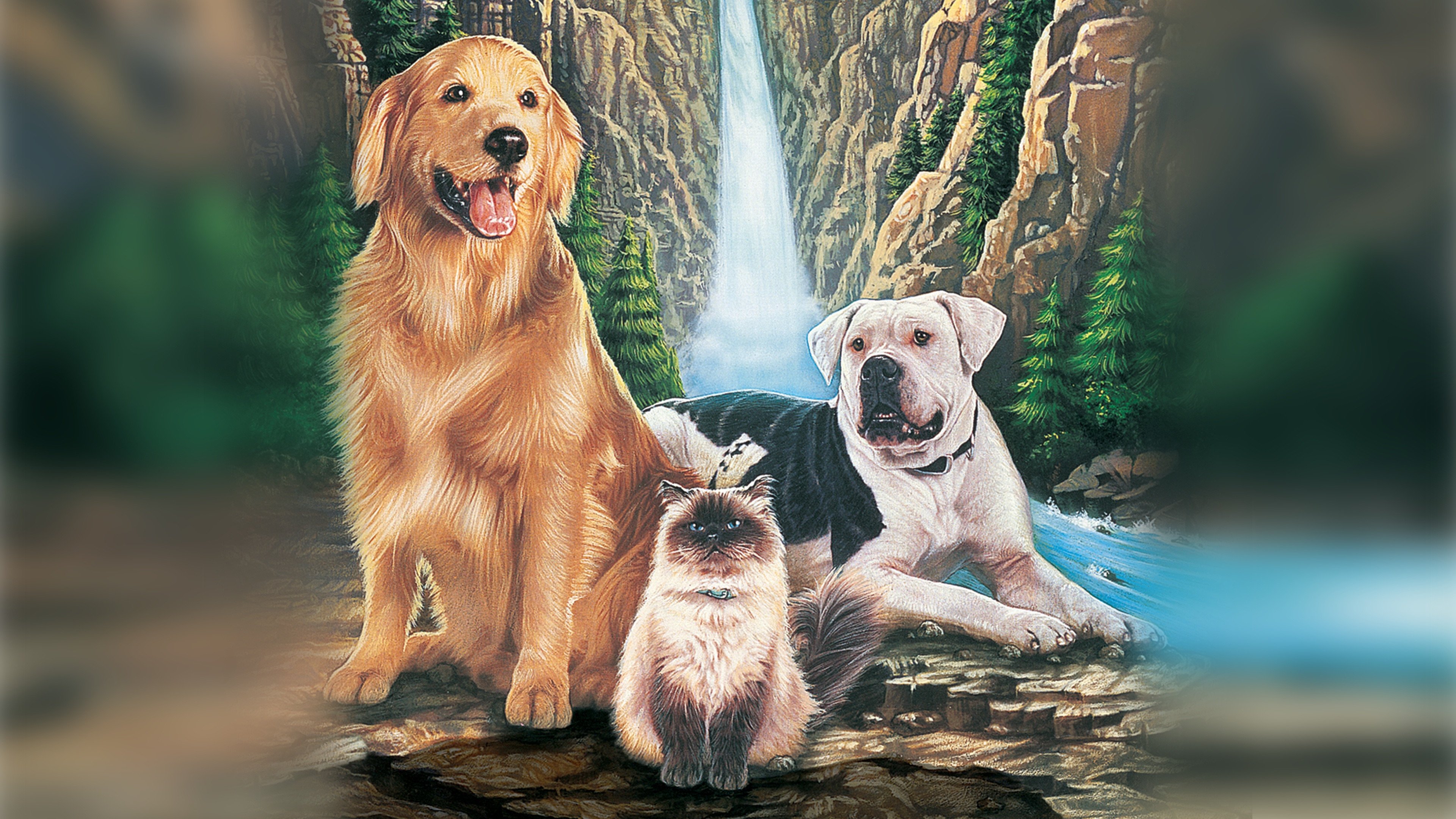 Homeward Bound: The Incredible Journey (1993)