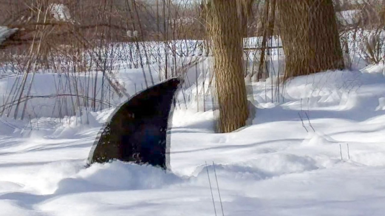 Snow Shark: Ancient Snow Beast