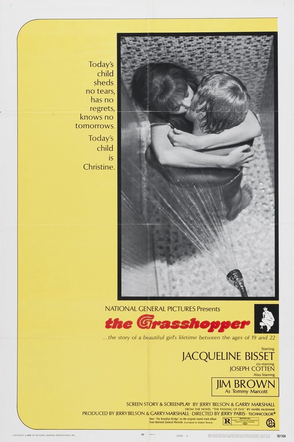 The Grasshopper poster image