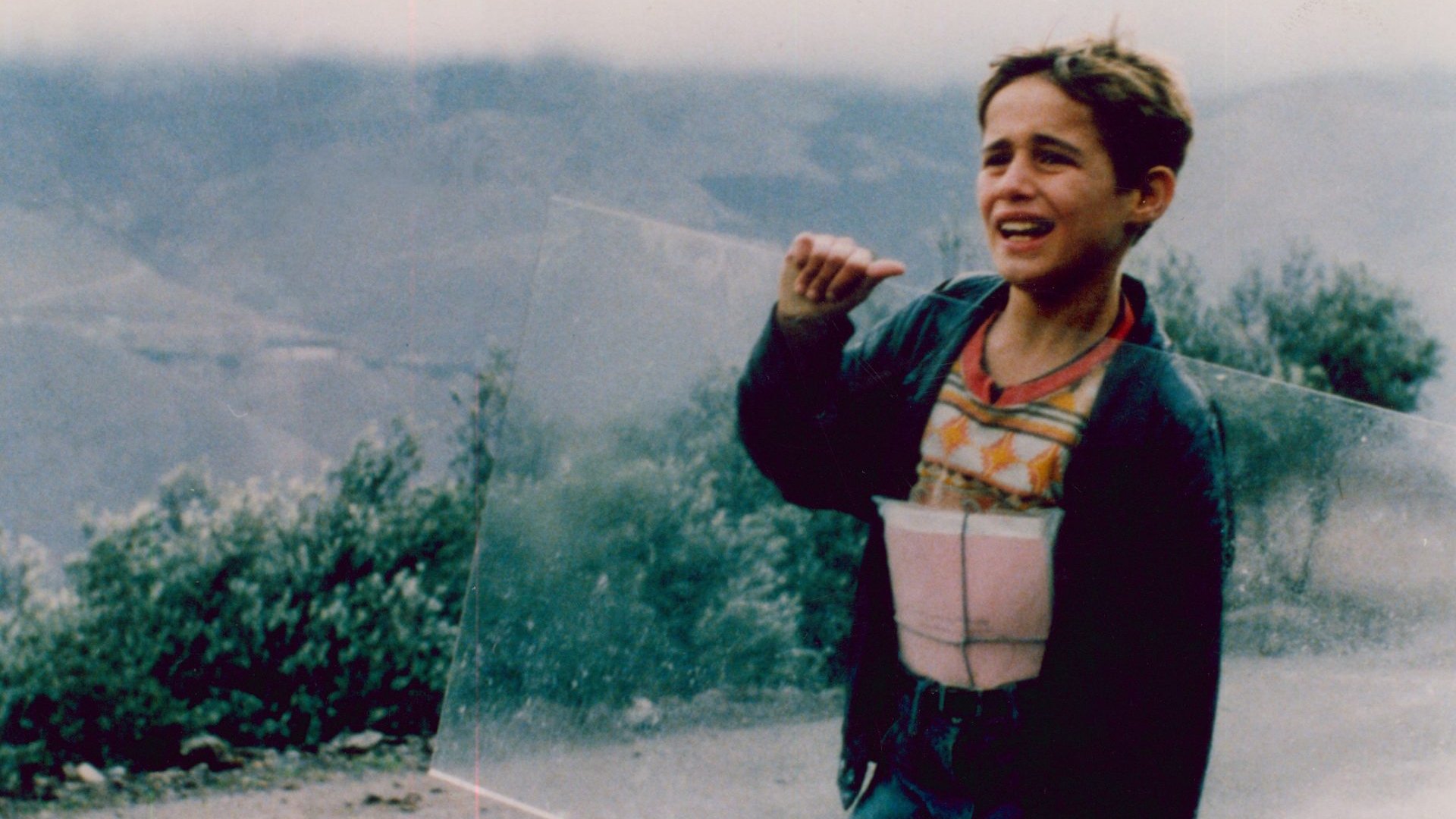 Willow and Wind (2003)
