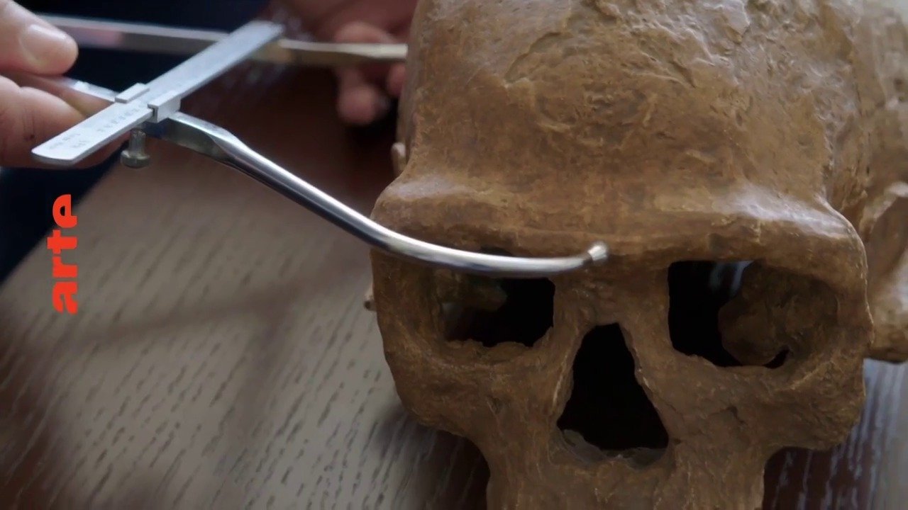 Homo sapiens, the New Origins (2020)