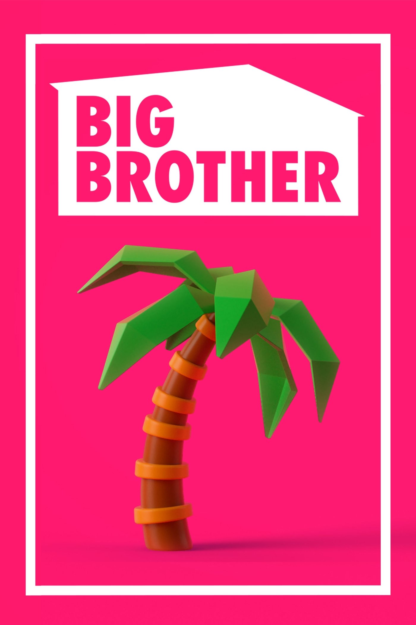 Big Brother Poster