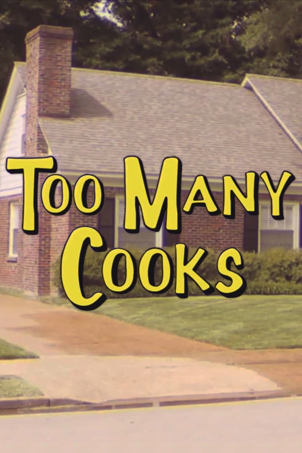 Too Many Cooks