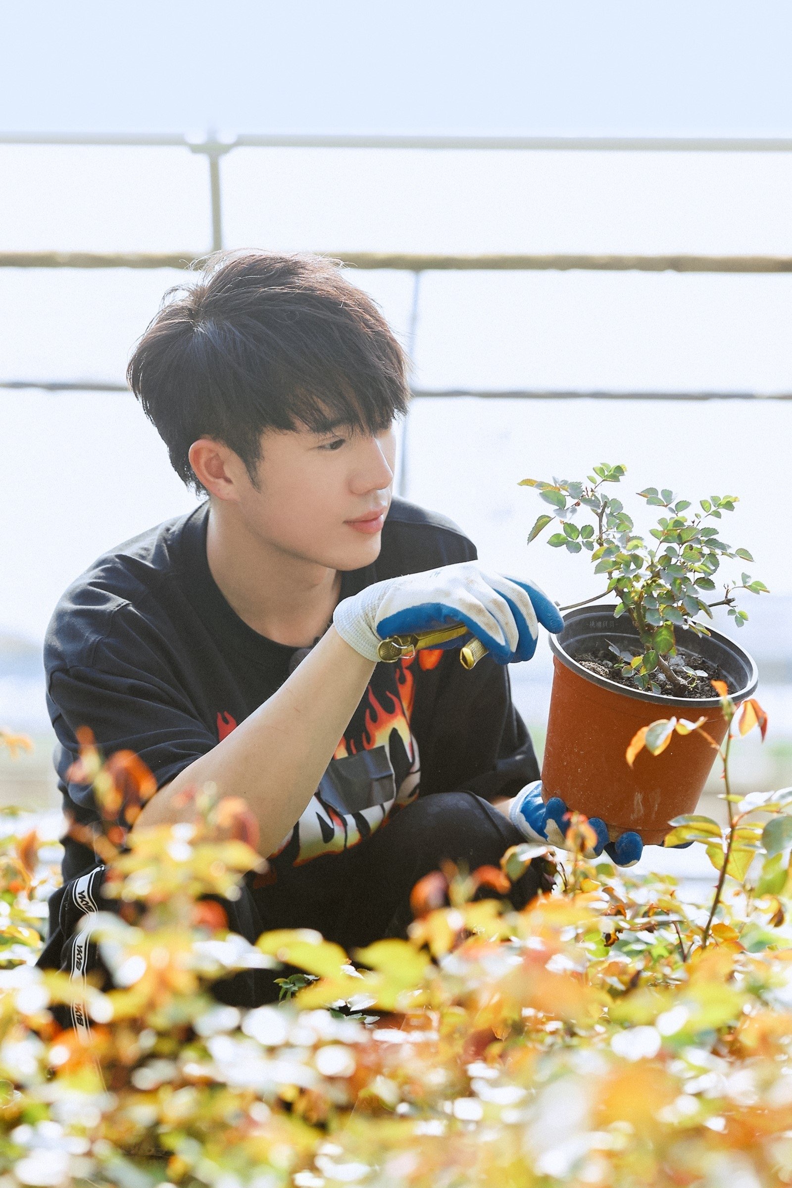 et billede af Zhuo Lu