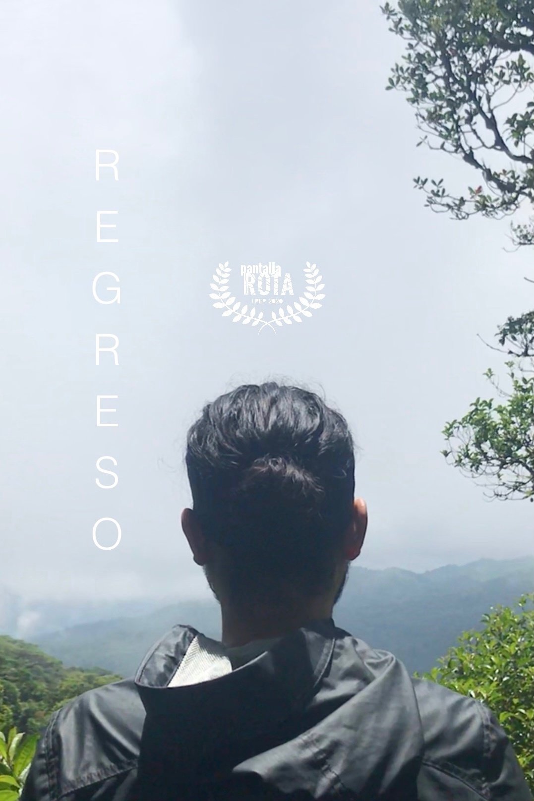 Regreso Regreso