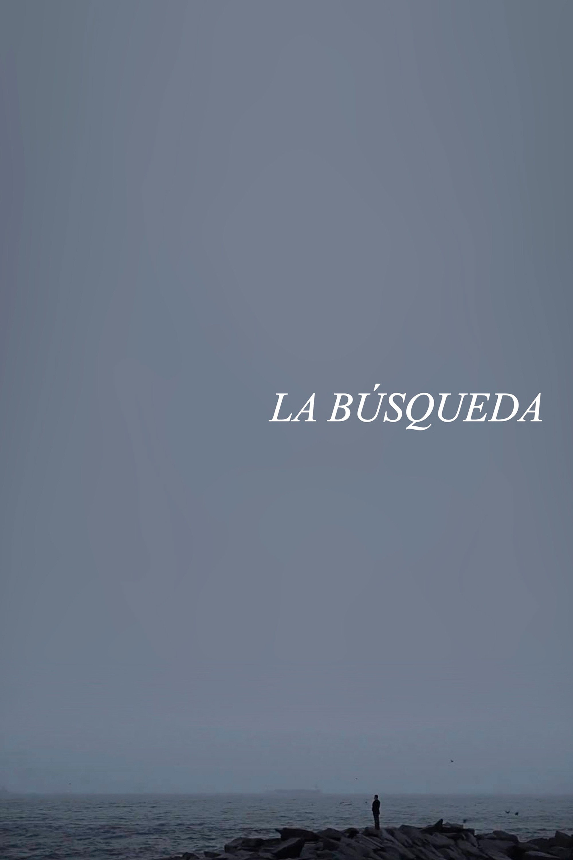 La búsqueda Poster